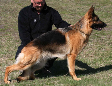 Ginnie standing