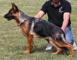Vasco