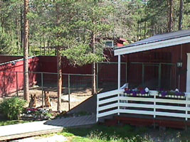 Kennel