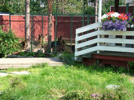 Kennel
