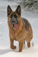 Sabine