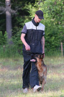 Strix