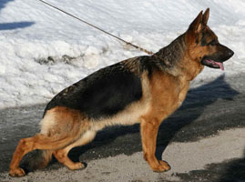 Uxie's Progeny
