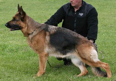 Uxie standing