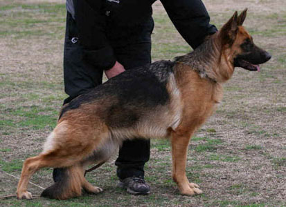 Vanta standing