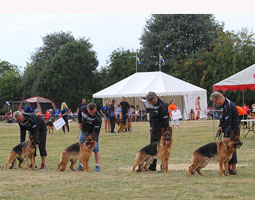 SSM 2013
