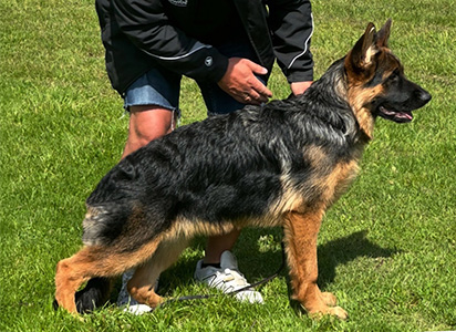 Verran standing