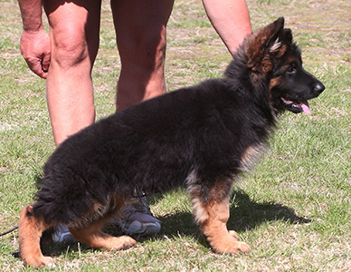 xavie standing